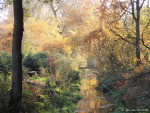 Arboretum Poortbulten
